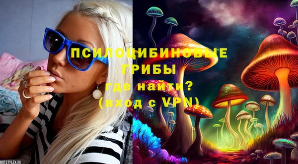 тгк Абинск