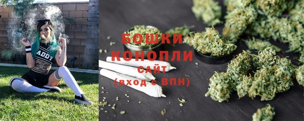 стаф Новозыбков