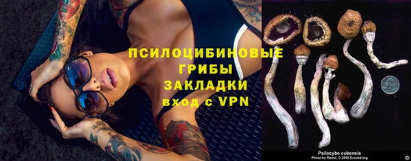 тгк Абинск
